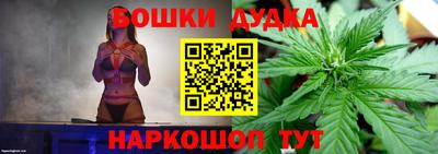 индика Абакан