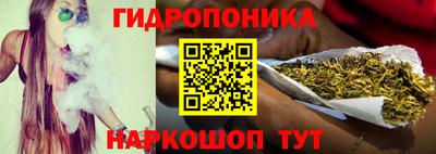 индика Абакан
