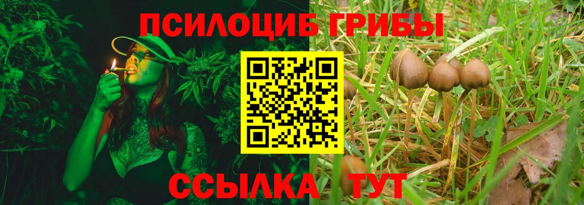 Псилоцибиновые грибы прущие грибы  Вход с VPN  Абинск 