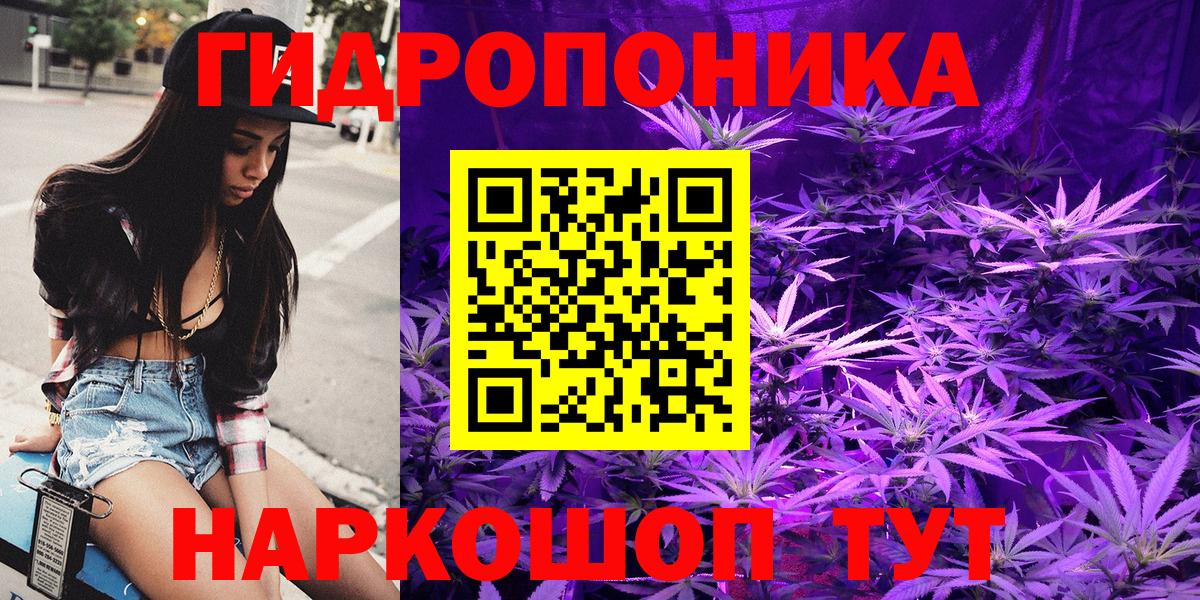 Бошки Шишки гибрид Абинск